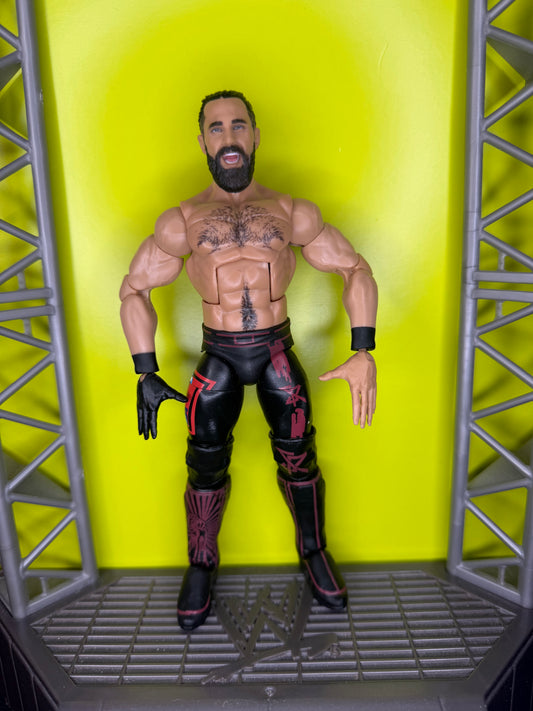 Seth Rollins