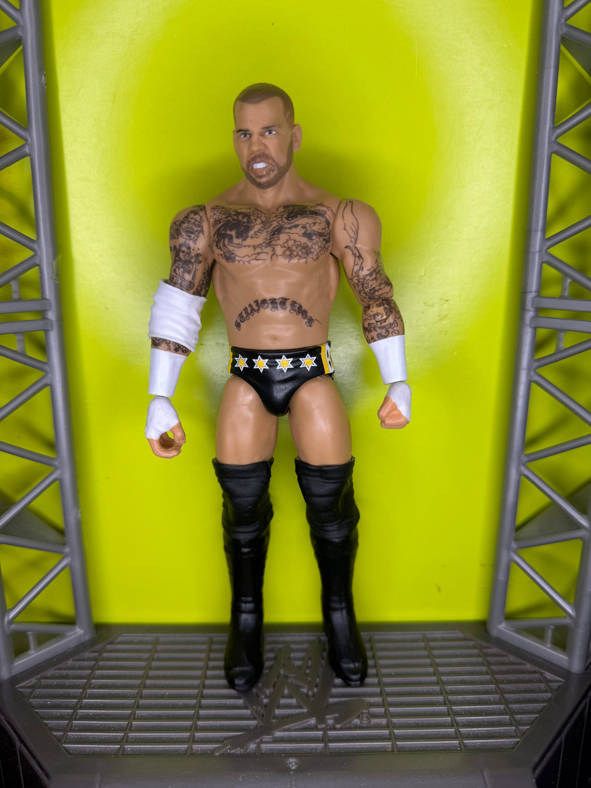 CM Punk