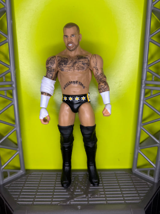 CM Punk