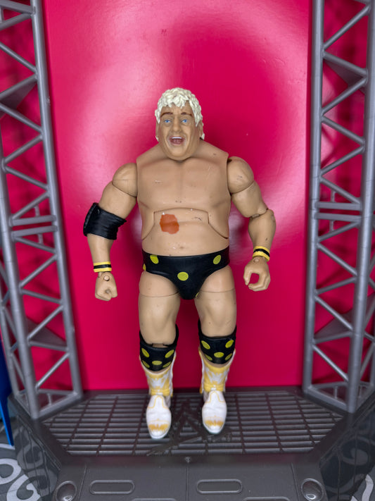Dusty Rhodes