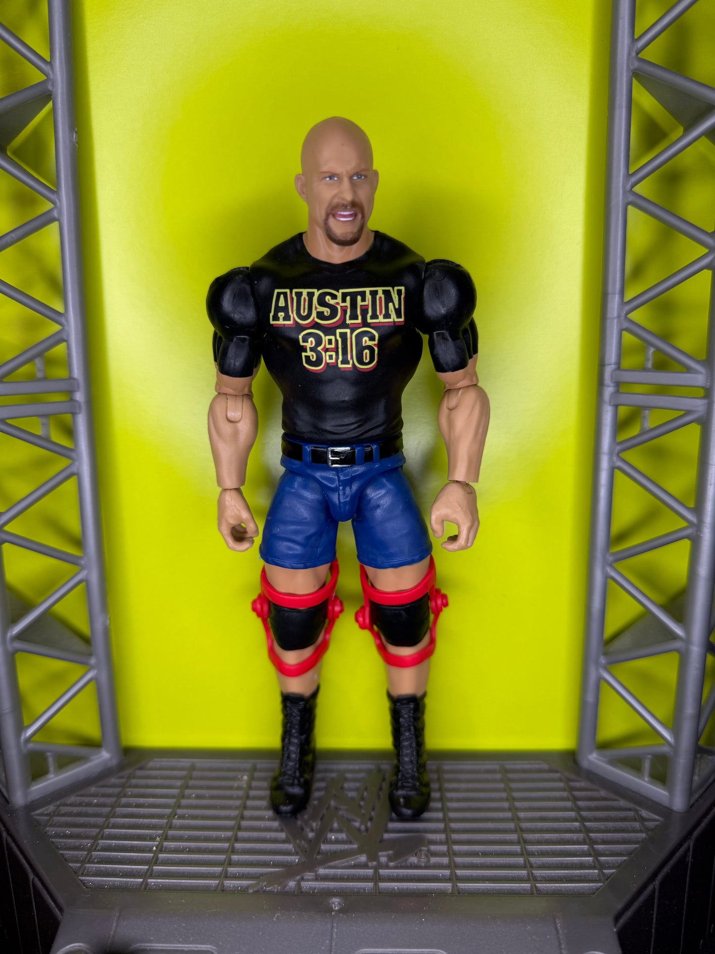 Stone Cold Steve Austin