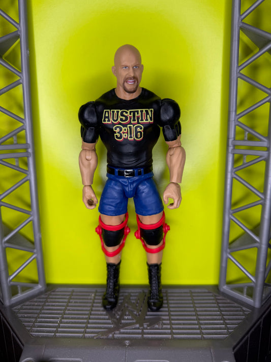 Stone Cold Steve Austin