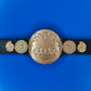 Figure Belt Tag Team Championship
