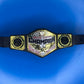 Figure Belt United States Championship title