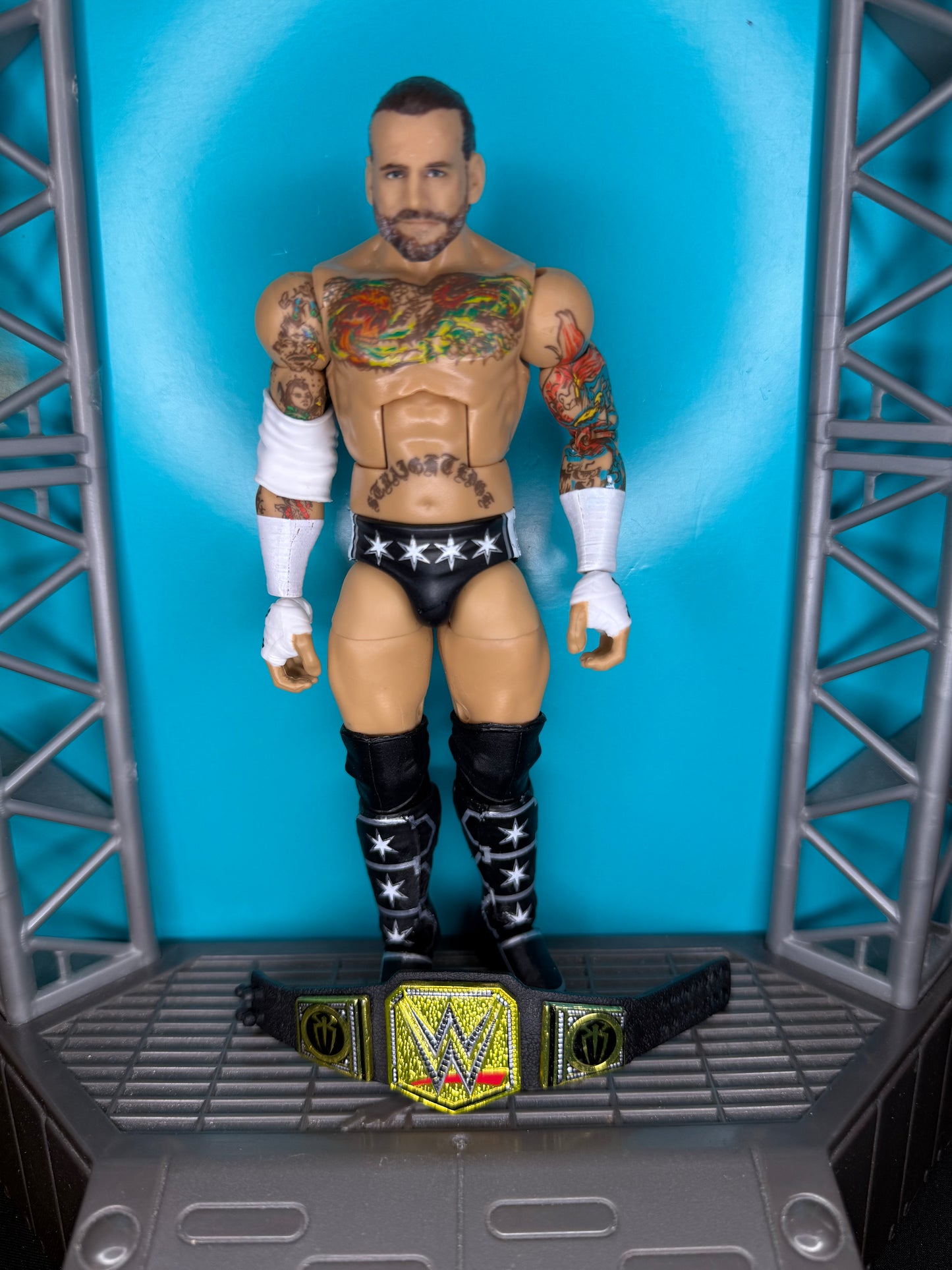 CM Punk