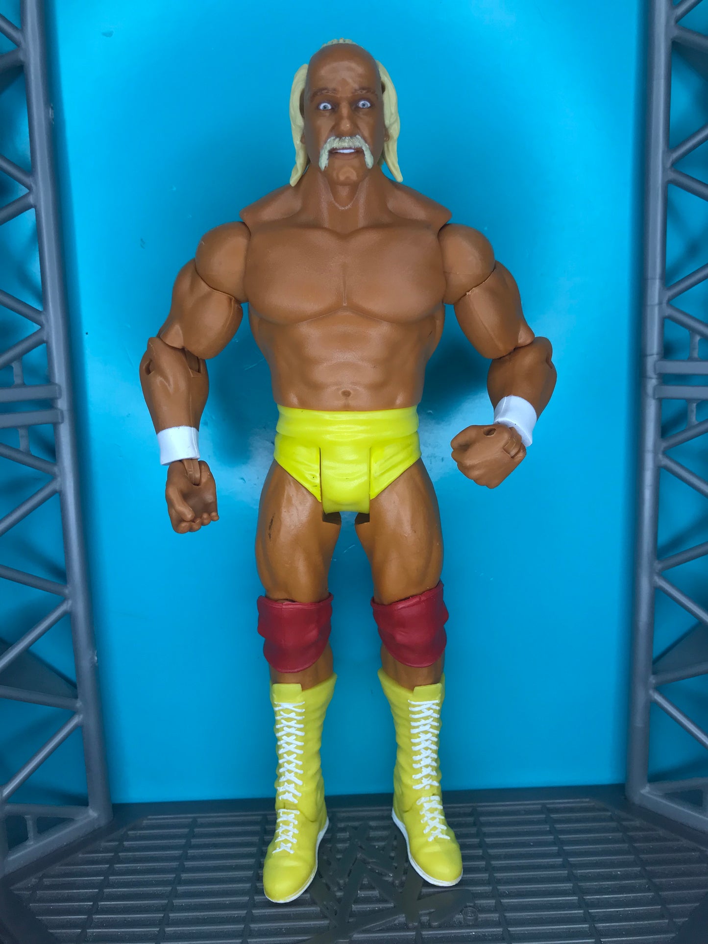 Hulk Hogan