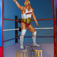 Hulk Hogan & Terry Funk 2 pack