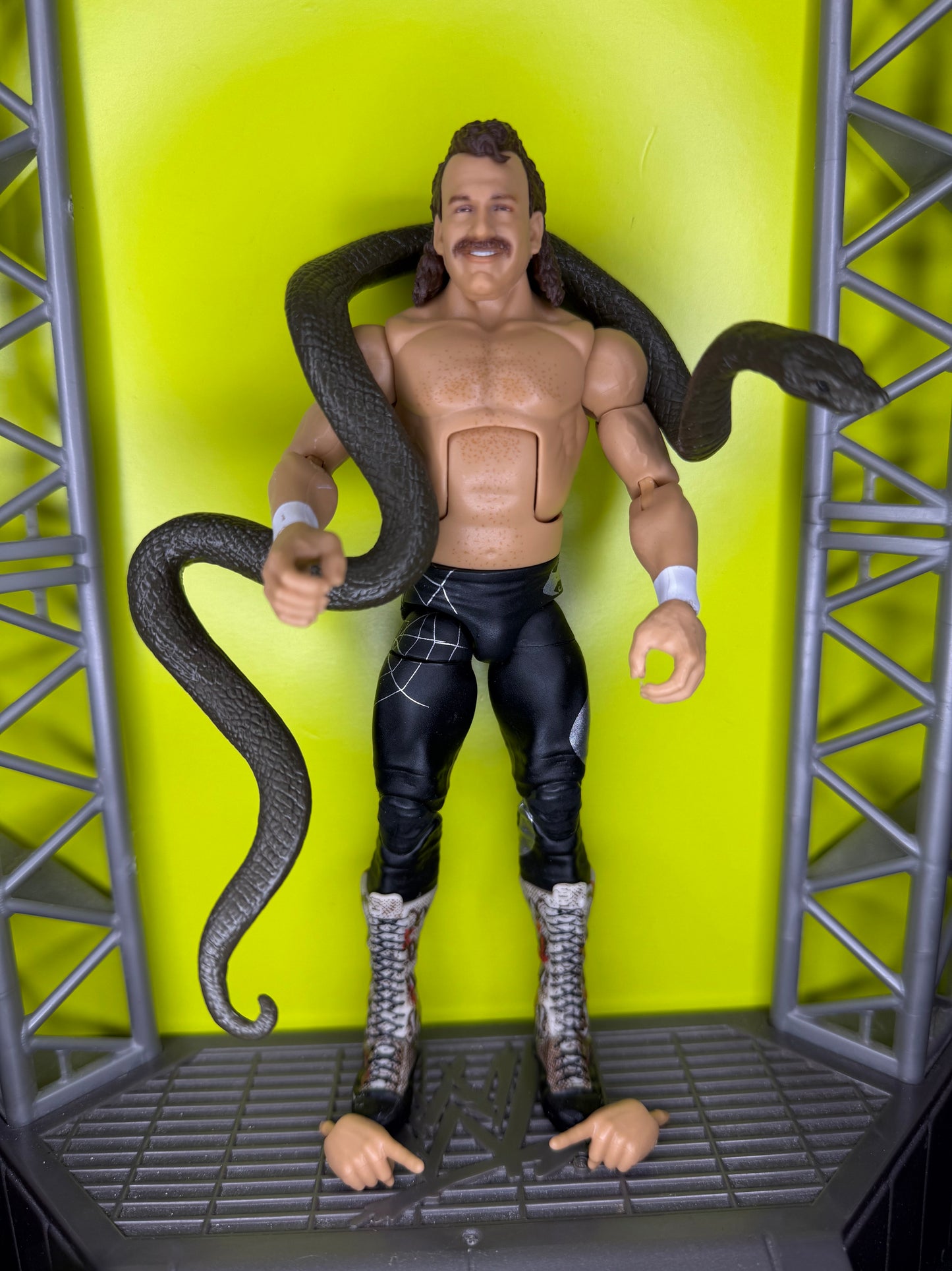 Jake “the snake” Roberts