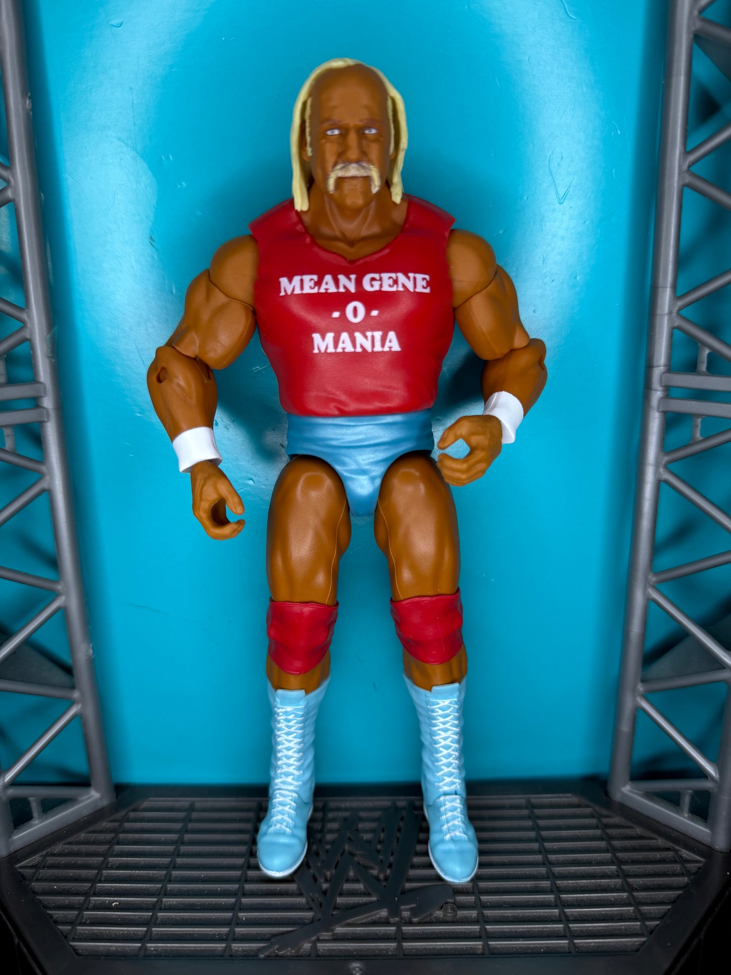 Hulk Hogan