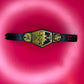 Figure Belt NXT Tag Team Championship