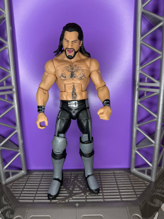Seth Rollins