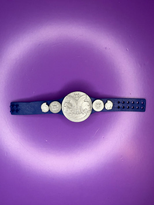 Figure Belt Tag Team Championship smackdown