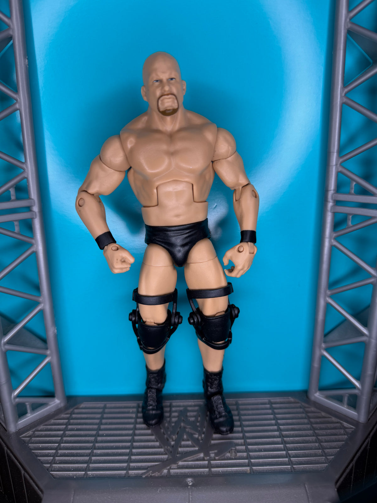 Stone Cold Steve Austin