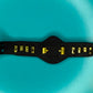 Figure Belt Television TV Championship title