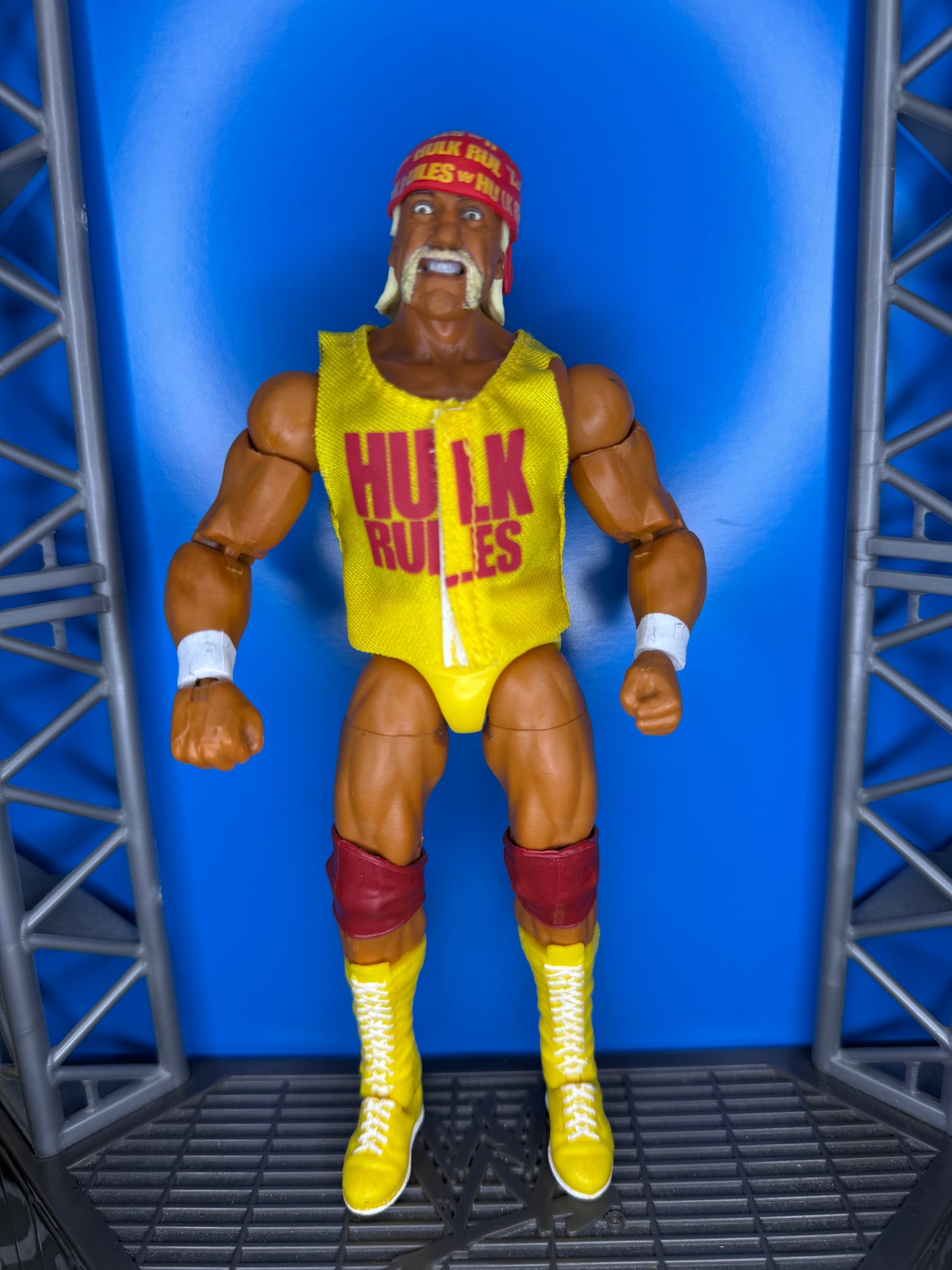 Hulk Hogan