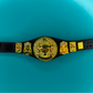 Figure Belt World heavyweight Rock variant Championship title