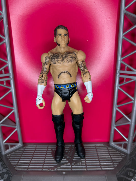 CM Punk
