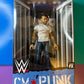 CM Punk