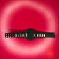 Figure Belt World Heavyweight Championship (Big Eagle)