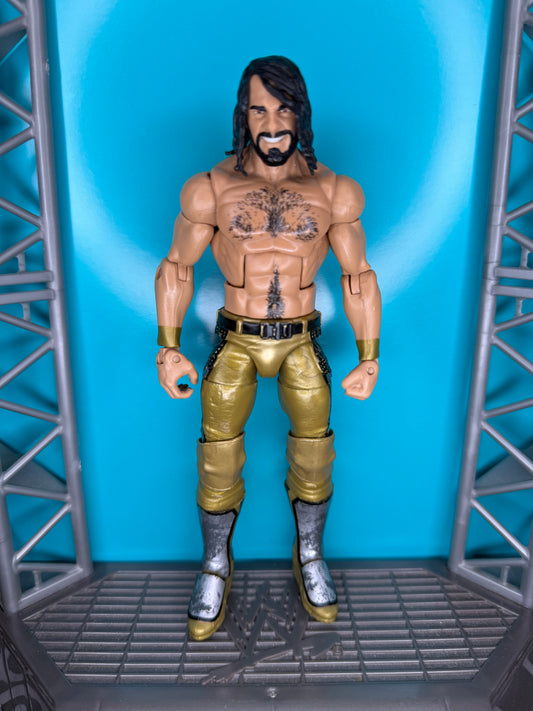 Seth Rollins