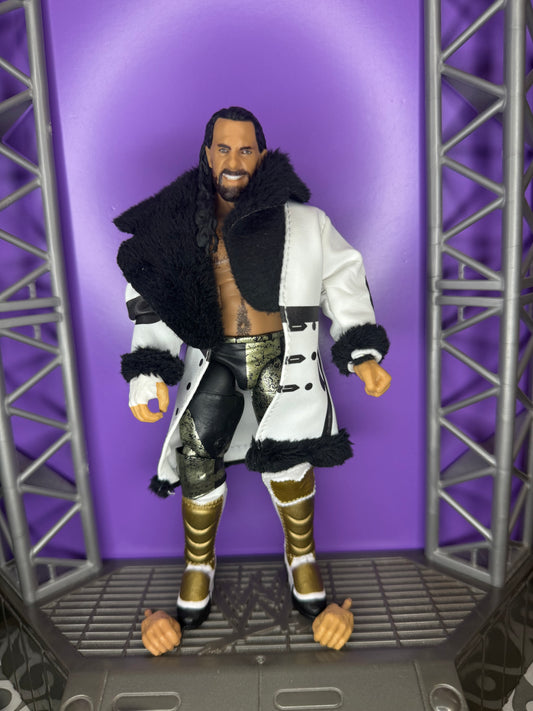 Seth Rollins