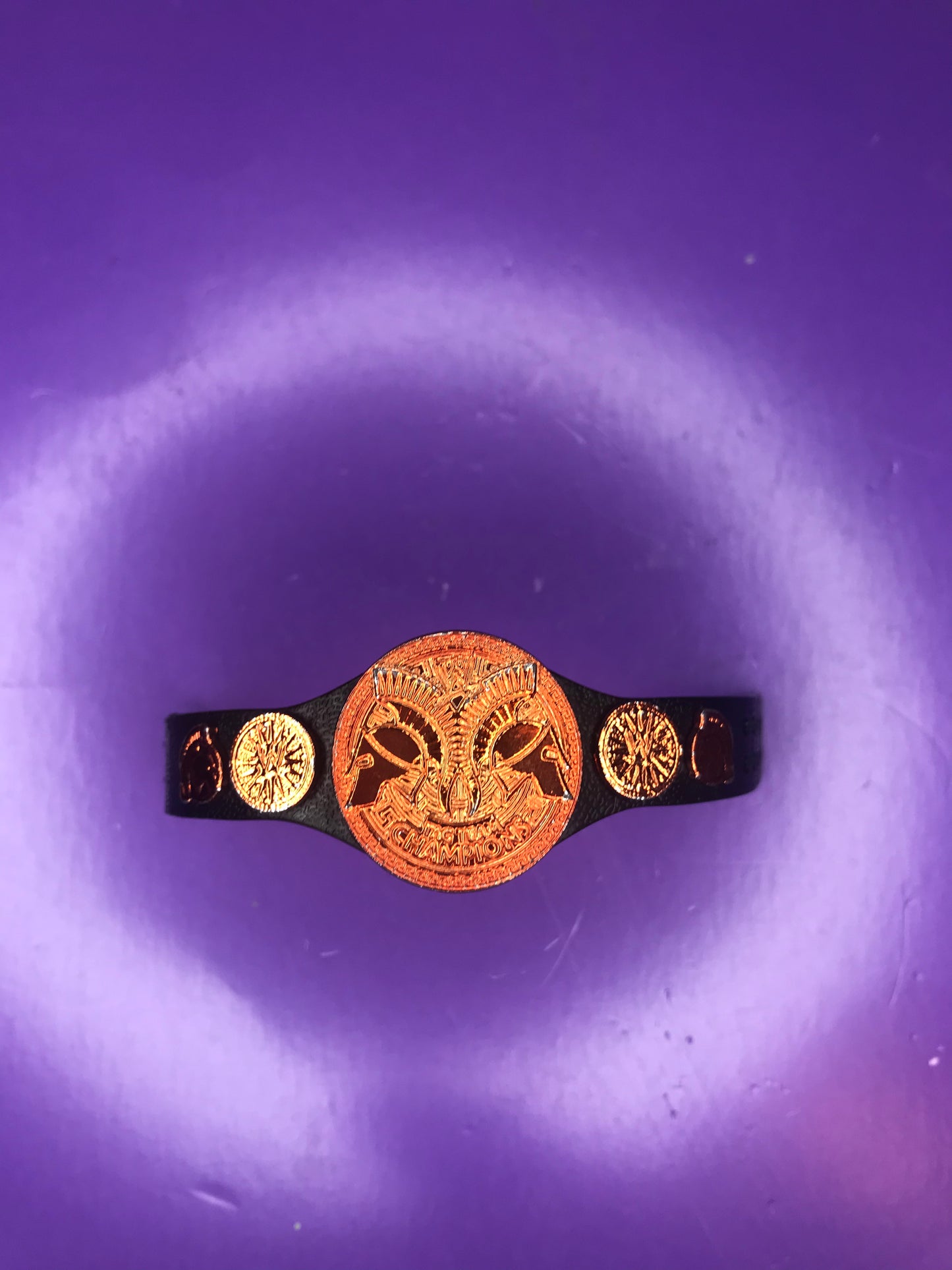 Figure Belt Penny Tag Team Championship