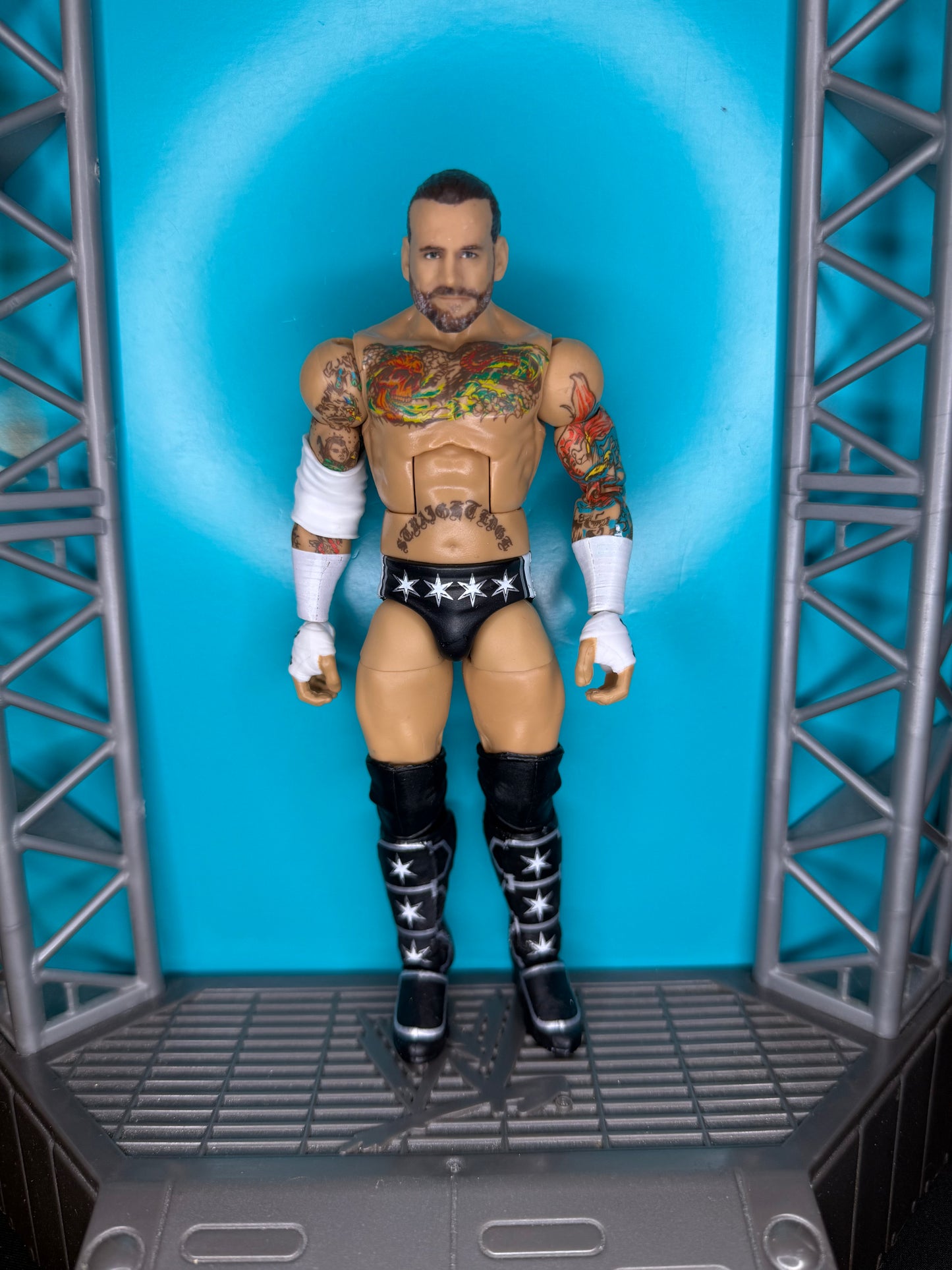 CM Punk