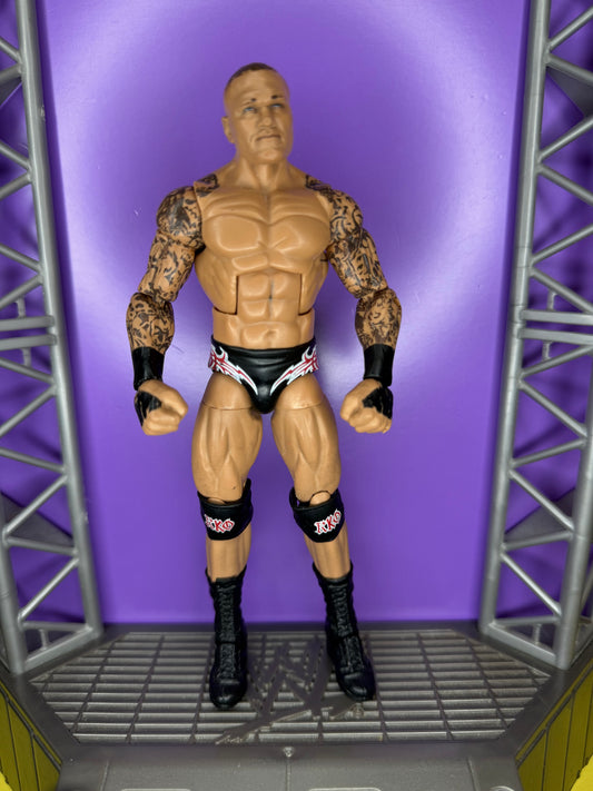 Randy Orton