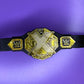 Figure Belt NXT Heavyweight title