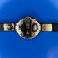 Figure Belt World Heavyweight Championship NWO Big Gold