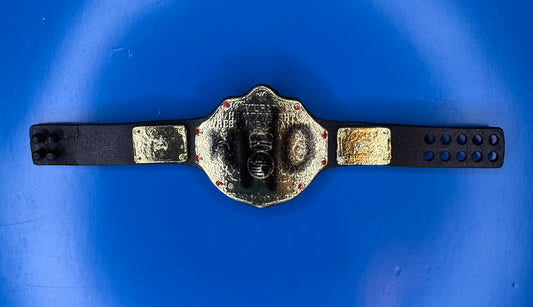 Figure Belt World Heavyweight Championship NWO Big Gold