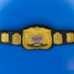 Figure Belt Tag Team Championship