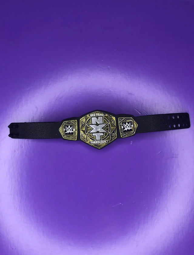 Figure Belt NXT Tag Team Championship