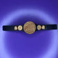 Figure Belt Tag Team Championship