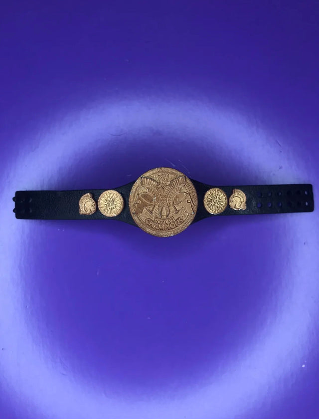 Figure Belt Tag Team Championship