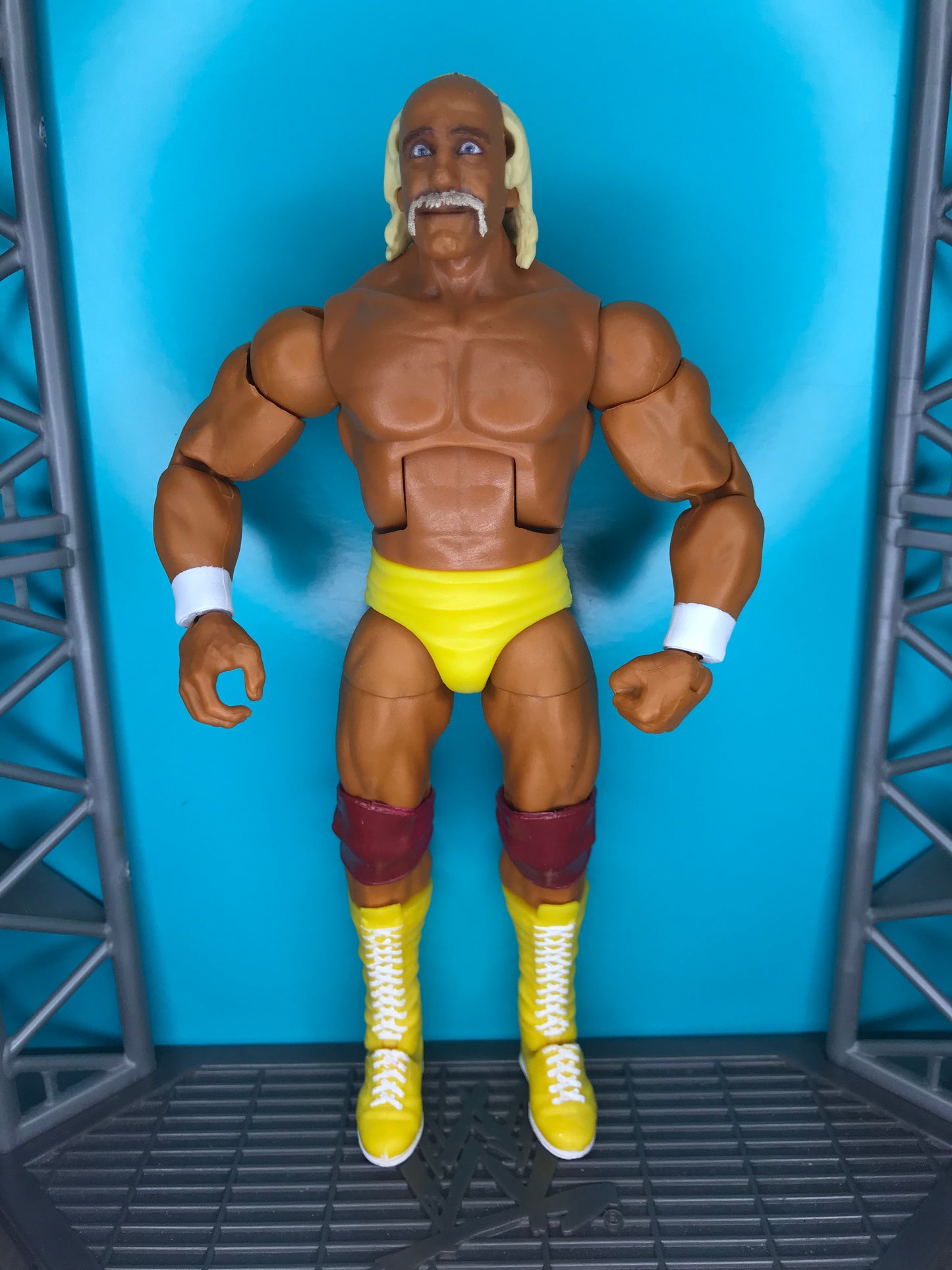 Hulk Hogan